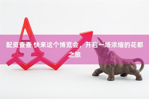 配资查查 快来这个博览会，开启一场浓缩的花都之旅